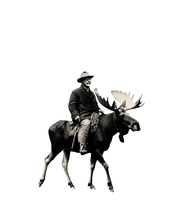 The Strenuous Life